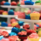 Cupcake & Cakepop Party